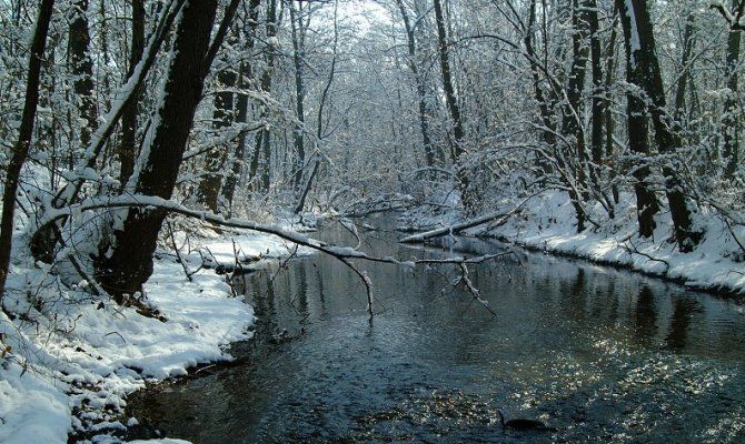 valle del ticino fiume neve bosco natura inverno alberi