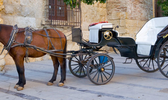 Carrozza