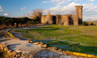 Lazio, gli ulivi degli Etruschi