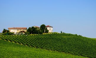 Valdobbiadene, in giro per vigneti in sella ad uno scooter