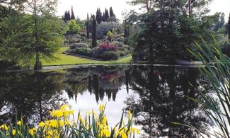 Giardini della Landriana, 30 stanze fiorite alle porte di Roma
