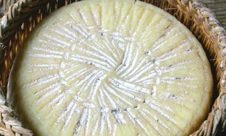 Canestrato Pugliese Dop