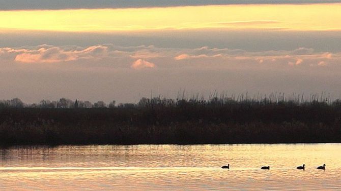 Parco regionale del delta del Po