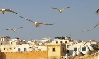 Essaouira