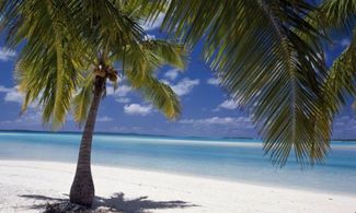 Isole Cook, vacanze spericolate in paradiso