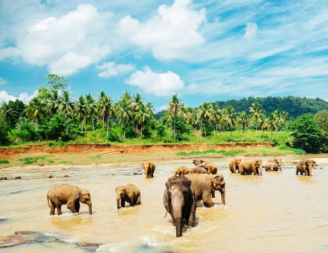 Sri Lanka