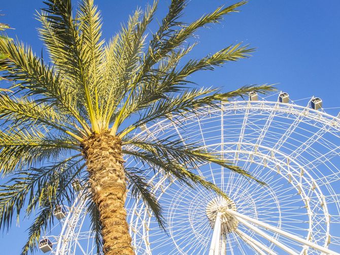 Orlando Eye