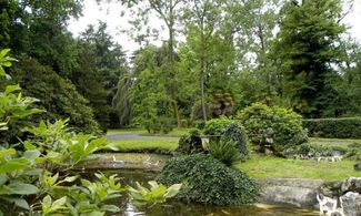 Giardini da sogno a Villa la Malpenga