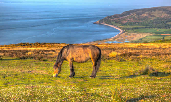 Scorcio dell'Exmooe National Park