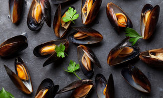 Moscioli, le cozze selvatiche del Conero