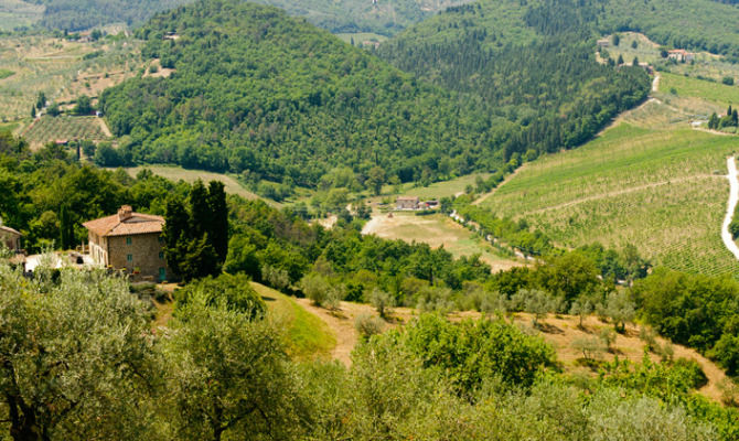 Colline della Toscana vicino Artimino
