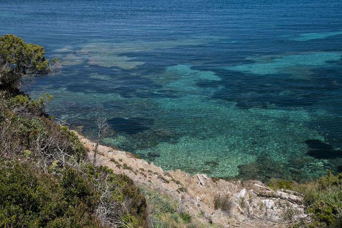 11 Porquerolles