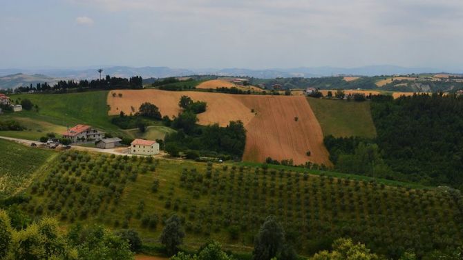 Abruzzo &amp;#45; DOP Aprutino Pescarese