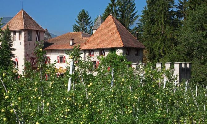 Val di Non Trentino mele