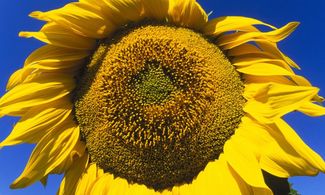 Un 25 aprile sotto il sole
