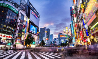Da Shinjuku a Shibuya: 10 cose da fare a Tokyo