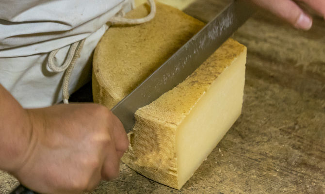 formaggio tipico Valtellina, prodotto caseario, latte