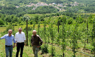 Molise: Borgotufi, il borgo che rinasce dal melo