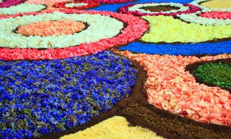 A Spello è il momento dell'Infiorata
