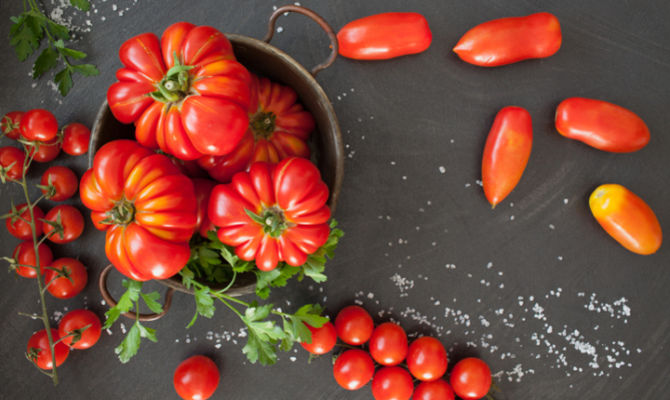 Diverse tipologie di pomodori