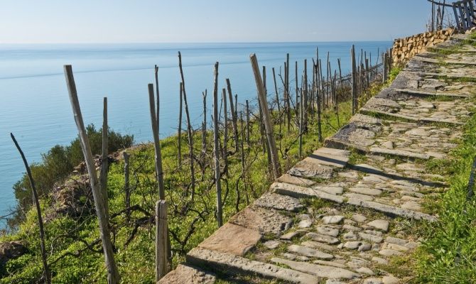 Trekking in Liguria