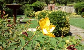 Lucca, passeggiata d'autunno nei Giardini della Villa Reale di Marlia