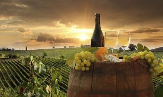 Terre di Toscana 2016: i migliori vini da degustare 