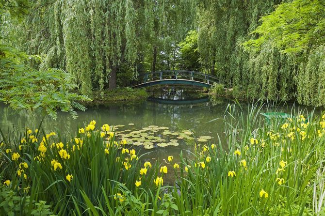 7 Il giardino di Monet