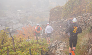 Valtellina Wine Trail, di corsa tra i vigneti