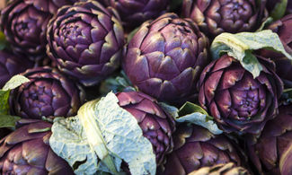 Grande attesa per la sagra del carciofo di Ladispoli  