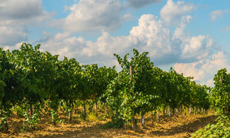 Lombardia, in agriturismo con gusto a km zero