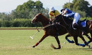 L'Argentario e la cultura del Polo