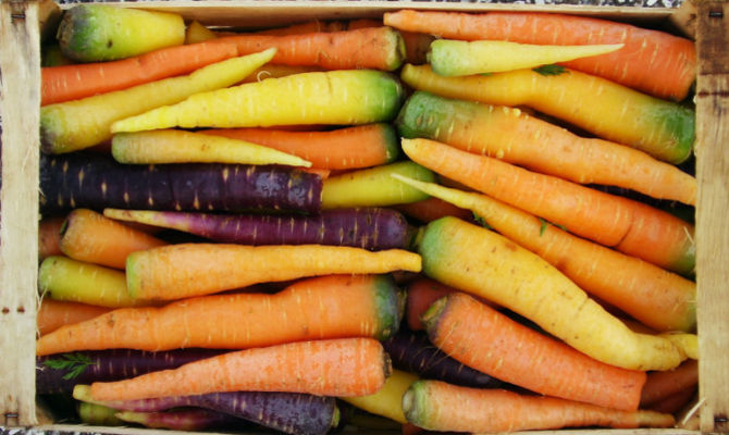 carote ortaggi colori