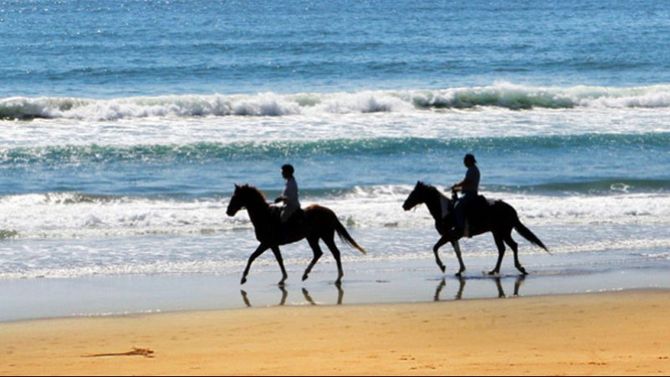 Cavalli sulla spiaggia