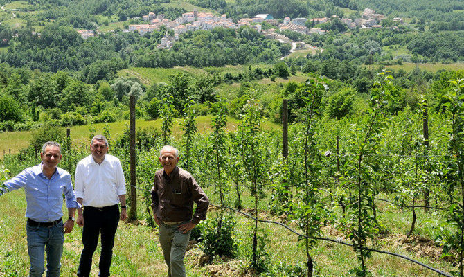 albergo diffuso molise, castel del giudice