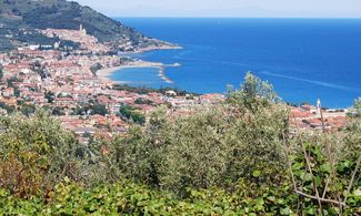 Liguria: l'olio della Riviera si fa in tre
