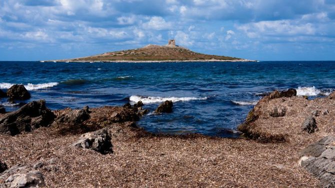 Isola delle Femmine