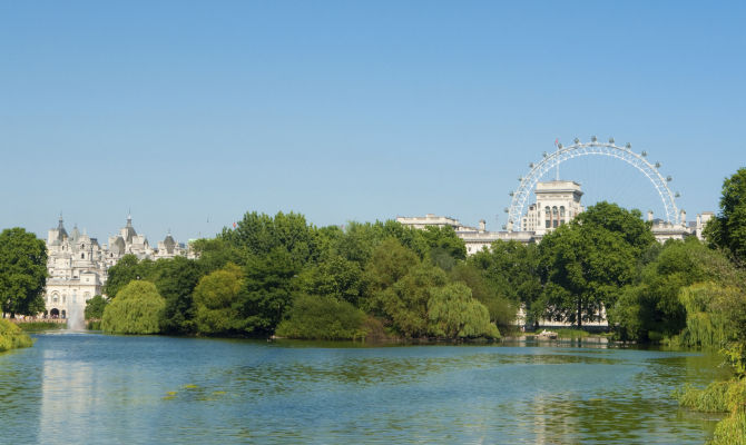 londra parco london eye ruota panoramic laghetto 