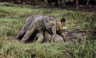 Steve McCurry 