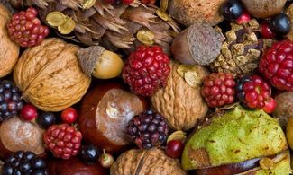Frutti autunnali