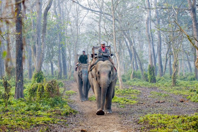19. Parco Nazionale Chitwan
