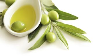 La Toscana dell'olio, cosa sapere sull'oro verde