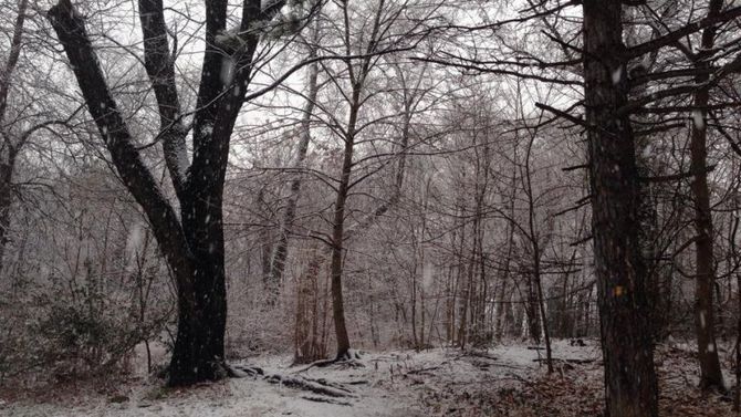Prospect Park