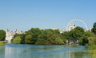 londra parco london eye ruota panoramic laghetto 