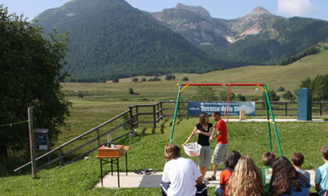 Campo estivo