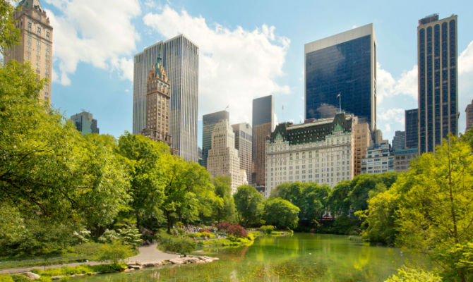 Central Park, New York