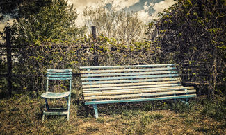 Estate in giardino in 5 tappe a tu per tu con la natura