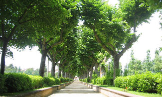 Nelle Marche il giardino dedicato all'amore