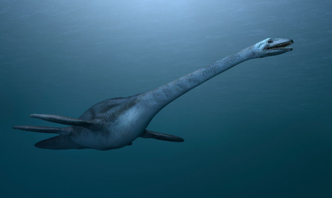Dinosauro marino