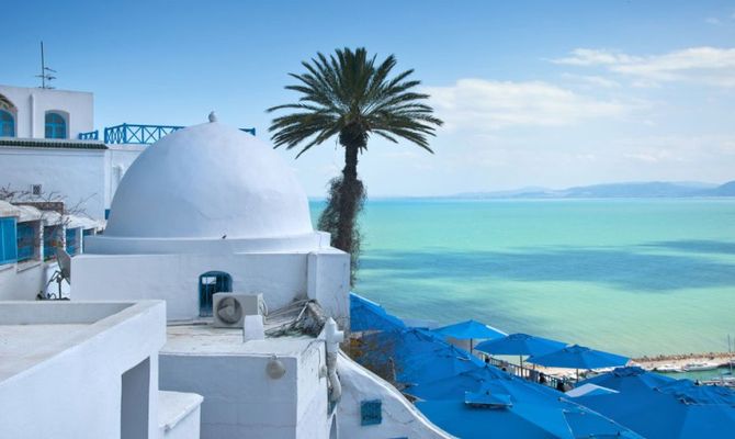 Tunisia mare e palme